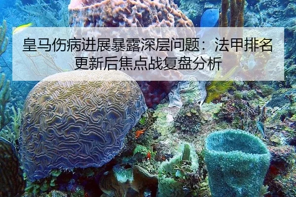 皇马伤病进展暴露深层问题：法甲排名更新后焦点战复盘分析