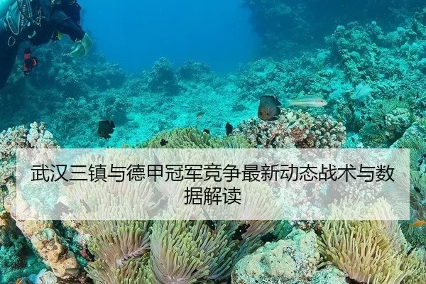 武汉三镇与德甲冠军竞争最新动态战术与数据解读